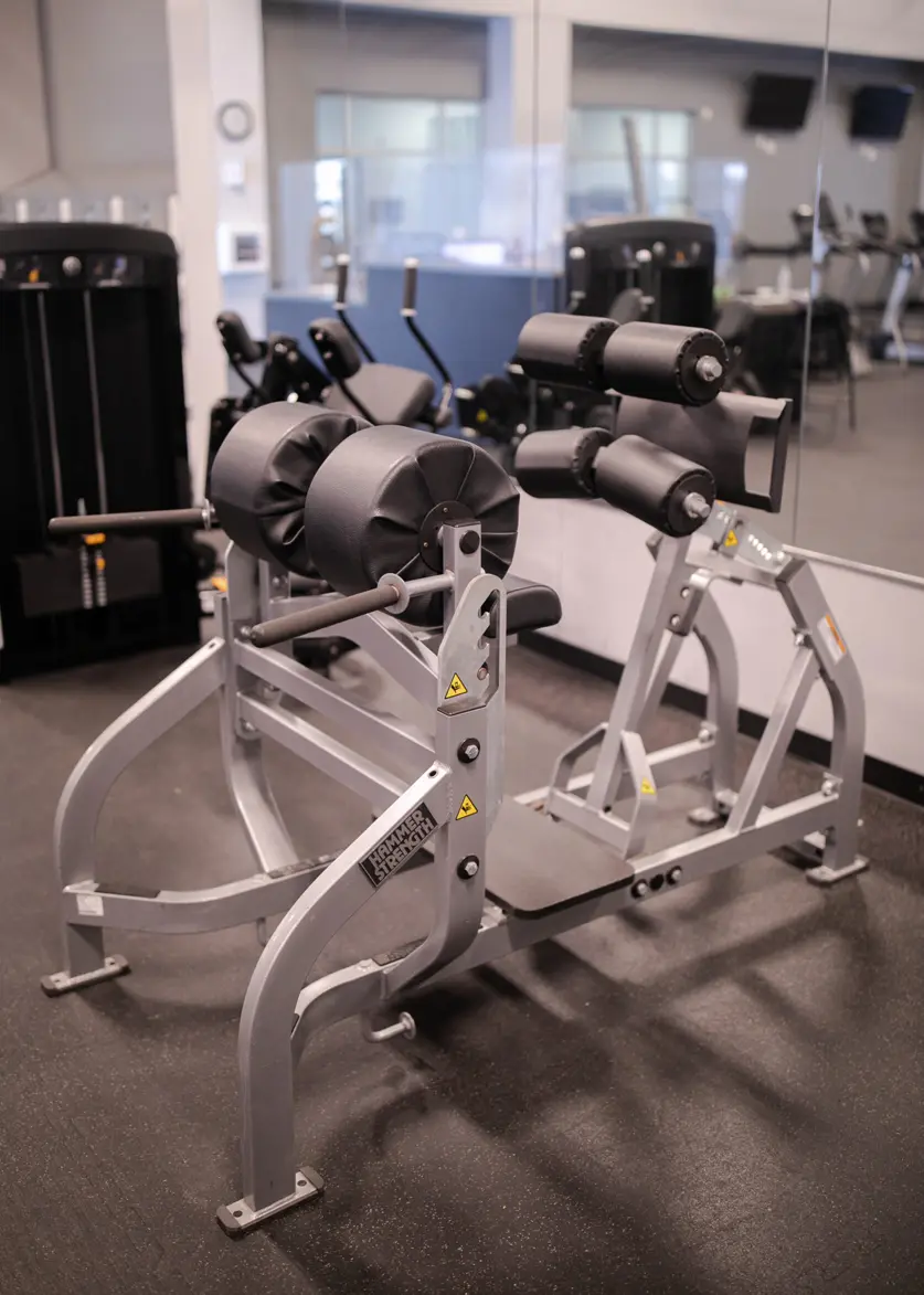 obetz athletic club glute and hamstring developer